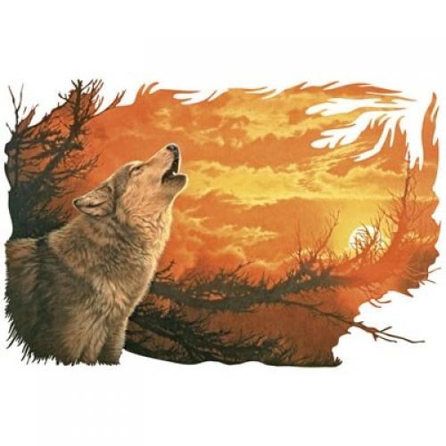 Evening Glow - Wolf Howling at the Brilliant Orange Night Sky