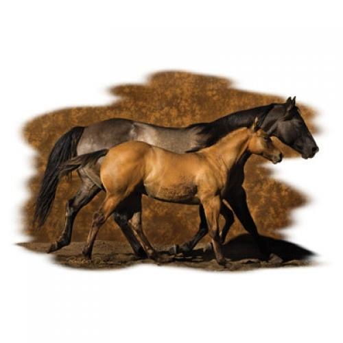 Running Side by Side -  Mother Horse & Son - Sweatshirt - U Pic Size and Collar