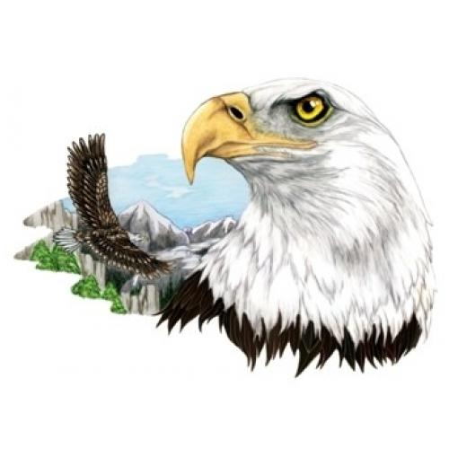 Large Eagle Head with Mountain Scene on White T-Shirt