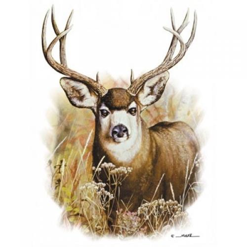 Buck (Deer) Scene on Sweatshirt - U Pic Size - Small to XXLarge
