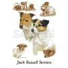 Jack Russell Terriers on Sweatshirt