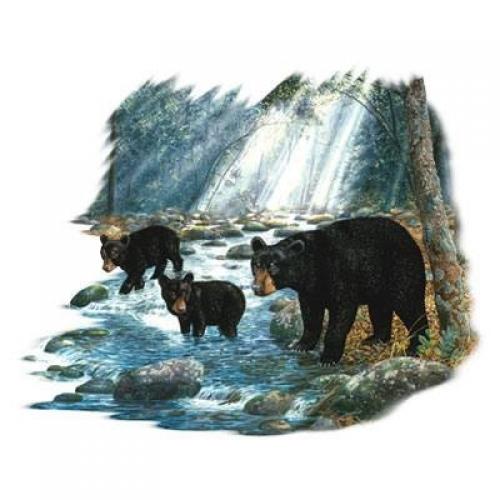 Black Bear & cubs in a stream on Sweatshirt - U Pic Size - Small to XXL