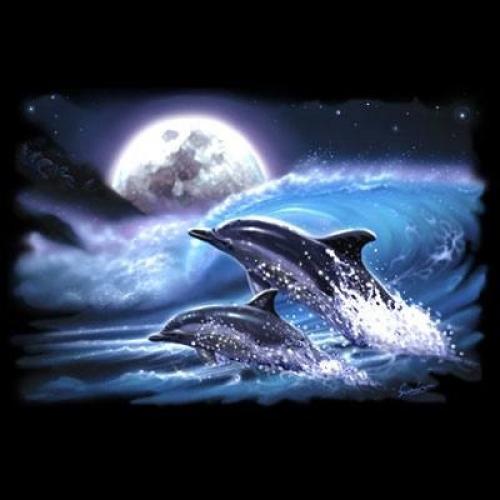 Beautiful Dolphin Scene on Sweatshirt - U Pic Size - Small to XXL