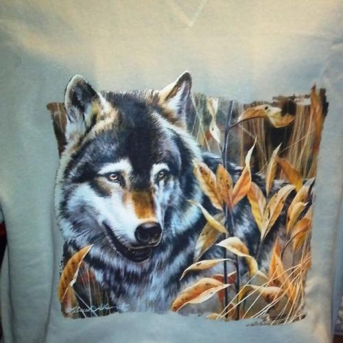 Beautiful Adult Wolf in field on Sweatshirt - U Pic Size and Collar - Small to X