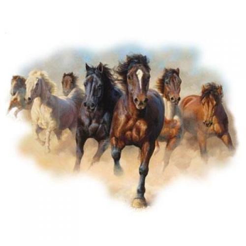 Thunder & Dust - Horses running wild on Sweatshirt - U Pic Size - Small to XXL