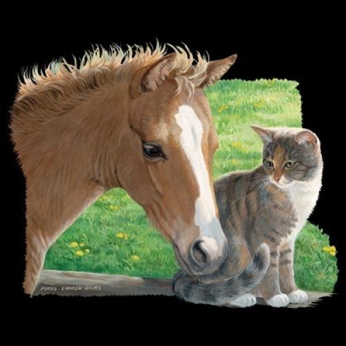 Tan Pony and Tabby Cat on Sweatshirt - U Pic Size and Collar - Small to XXLarge