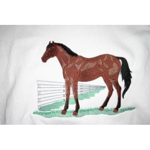 Adult Sweatshirt - Embroidered with a Quarter Horse