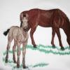 Embroidered Sweatshirt - Horse and Colt