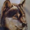 Wolf Head TShirt - U Pic Size - Small to XXLarge