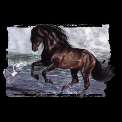 Beautiful Black Horse running on the beach on a Sweatshirt - Wild and Free - U P
