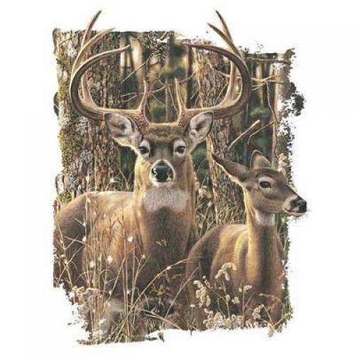 Buck and Doe in Forest on T-Shirt - U Pic Size - Small to XXLarge
