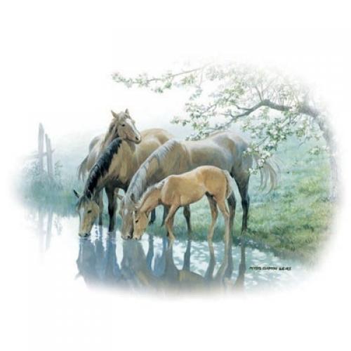 Family of Horses drinking from the river on Sweatshirt - A Taste of Spring