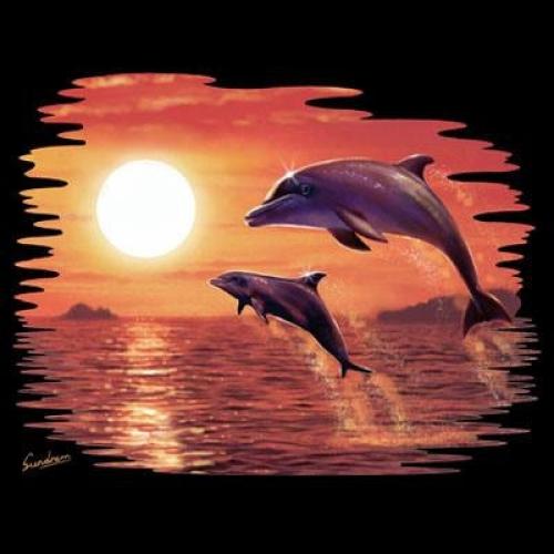 Sunrise Jump for Joy - Dolphins on Sweatshirt - U Pic Size - Small to XXL