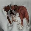 Adult Sweatshirt  - Embroidered with a Boxer or other dog of your choice
