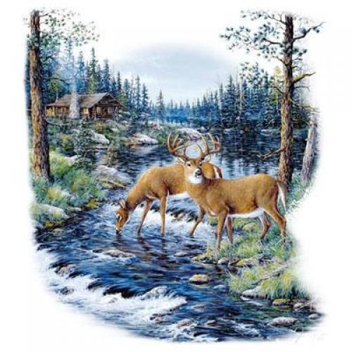 Beautiful Buck and Deer Scene on Sweatshirt - U Pic Size - Small to XXL