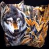 Beautiful Adult Wolf in field on Sweatshirt - U Pic Size and Collar - Small to X