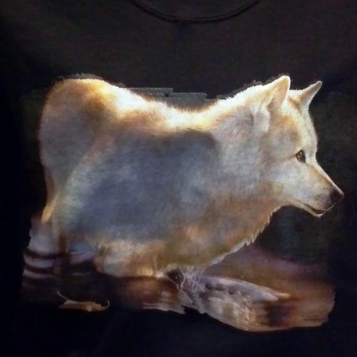 Beautiful White Wolf on Sweatshirt - U Pic Size and Collar - Small to XXLarge